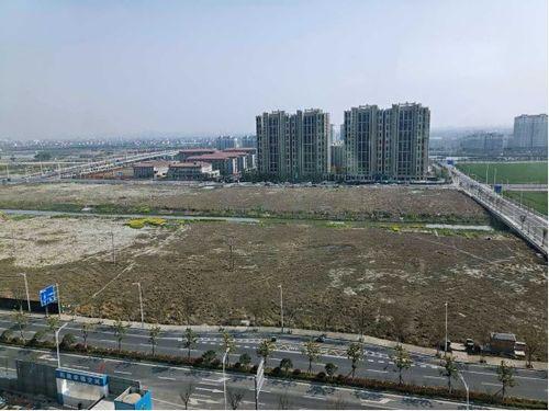 浙江平湖最新爆料,揭秘浙江平湖最新爆料背后的故事