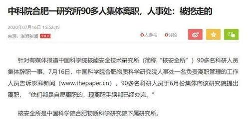 合肥爆料最新消息新闻报道,聚焦城市动态与民生焦点