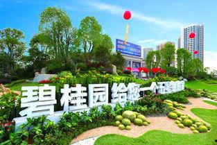 四川广安碧桂园爆料最新,揭秘项目疑云与业主维权真相