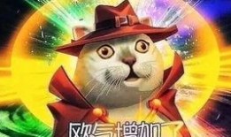 第五人格卢卡最新爆料,卢卡最新爆料揭秘，游戏新篇章即将开启！