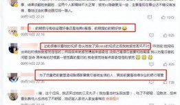 cc爆料瓜妈最新,瓜妈最新动态，揭秘娱乐圈幕后故事
