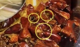 火锅店最新爆料视频下载,火辣幕后大揭秘！