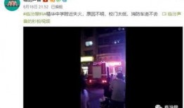 最新高校爆料视频下载网站,最新爆料视频下载网站大盘点