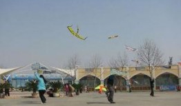 郑州保合寨最新爆料,揭秘神秘事件背后的真相