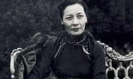 宋美龄最新爆料视频播放,最新爆料视频背后的故事与真相