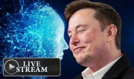 马斯克爆料最新状况,揭秘特斯拉未来发展方向与挑战