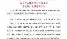 王亚伟最新爆料,揭秘行业内幕与投资新动向