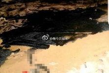 陕西最新油田爆料,油气资源蕴藏量再创新高