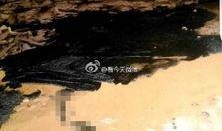 陕西最新油田爆料,油气资源蕴藏量再创新高