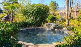 重庆温泉爆料案件最新,揭开背后惊人真相，多角度剖析事件始末