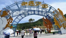 神鹿峰景区最新爆料,探秘神秘仙境，尽享自然奇观