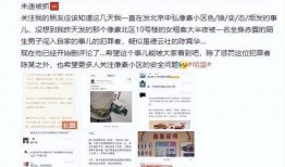 最新爆料事,最新爆料事件背后的惊人真相